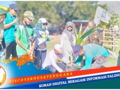 DCP PKB Sumbawa Tanam Pohon dan Gotong Royong di Pantai Saliper Ate