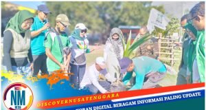 DCP PKB Sumbawa Tanam Pohon dan Gotong Royong di Pantai Saliper Ate