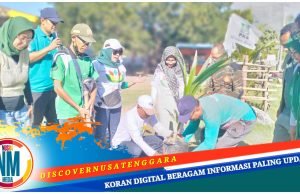 DCP PKB Sumbawa Tanam Pohon dan Gotong Royong di Pantai Saliper Ate