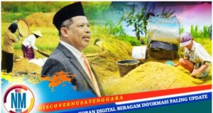 Harapan HUT RI ke-80, Anggota DPR RI F-PKS Johan Rosihan : “Merdeka Pangan, Merdeka Indonesia”