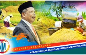 Harapan HUT RI ke-80, Anggota DPR RI F-PKS Johan Rosihan : “Merdeka Pangan, Merdeka Indonesia”