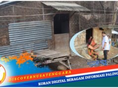 Kunjungan Kerja ke Pulau Sumbawa, Kepala Disperkim NTB : Pemprov Perbaiki 174 RTLH