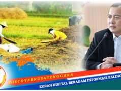 Gubernur Iqbal Siapkan Silo Jagung dan Cold Storage : Pertanian Jadi Pilar Utama Ekonomi NTB