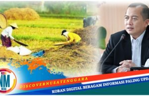 Gubernur Iqbal Siapkan Silo Jagung dan Cold Storage : Pertanian Jadi Pilar Utama Ekonomi NTB