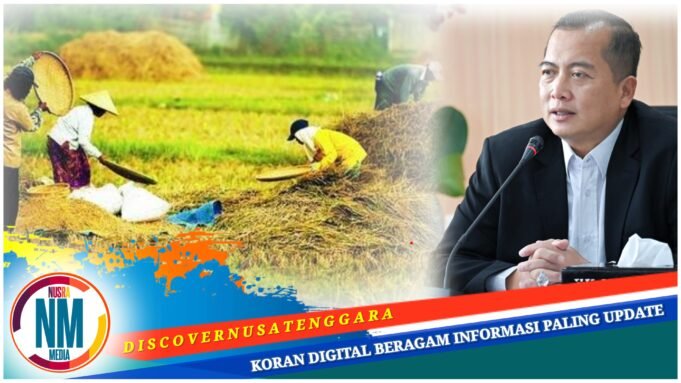 Gubernur Iqbal Siapkan Silo Jagung dan Cold Storage : Pertanian Jadi Pilar Utama Ekonomi NTB