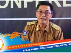 Disdag NTB Akan Gelar Sosialisasi Gempur Rokok Ilegal di Sumbawa