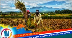 Desa Pungka Sumbawa Didorong Ekplorasi Potensi Pertanian dan Peternakan