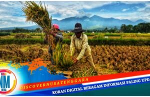 Desa Pungka Sumbawa Didorong Ekplorasi Potensi Pertanian dan Peternakan