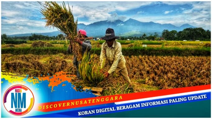 Desa Pungka Sumbawa Didorong Ekplorasi Potensi Pertanian dan Peternakan