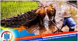 Desa Jamu Sumbawa Miliki Dua Sektor Unggulan