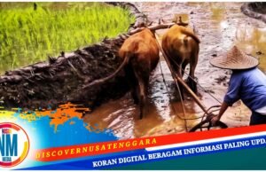 Desa Jamu Sumbawa Miliki Dua Sektor Unggulan