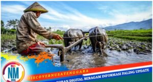 Pertanian dan Peternakan Jadi Sektor Unggulan Penggerak Ekonomi Desa Suka Damai