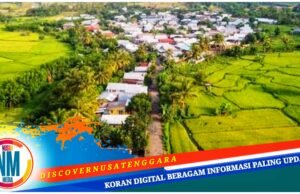 Pertanian dan Peternakan Jadi Sektor Unggulan di Desa Juranalas Sumbawa