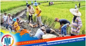 Sumbawa Bangun 298 Infrastruktur Pertanian di Wilayah Kering, Ini Tanggapan Pemprov NTB