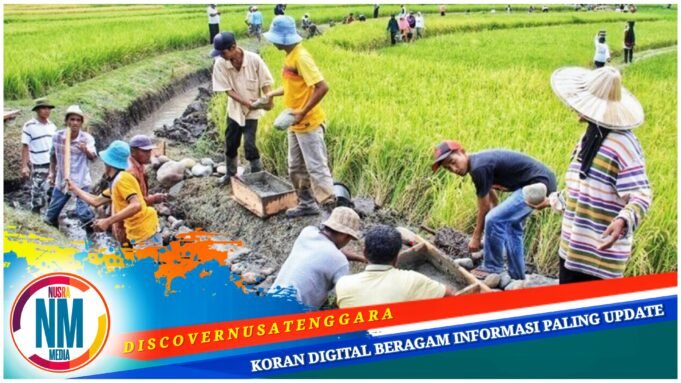 Sumbawa Bangun 298 Infrastruktur Pertanian di Wilayah Kering, Ini Tanggapan Pemprov NTB