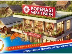 Dongkrak Perputaran Ekonomi, KMP Didorong Penuhi Kebutuhan MBG Memiliki Bisnis Inti