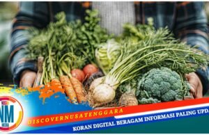Dukung Program MBG, Sumbawa Butuh 3 Ton Sayur Perharinya