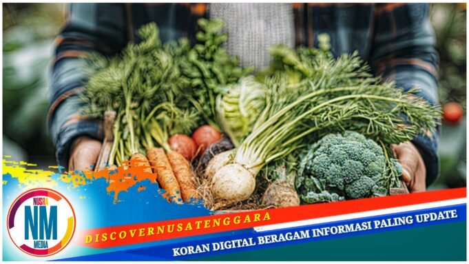 Dukung Program MBG, Sumbawa Butuh 3 Ton Sayur Perharinya