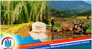 Dinilai Miliki Potensi Besar, Pemerintah Bakal Kembangkan Pertanian dan Peternakan Lunyuk