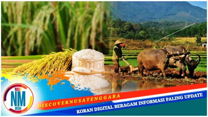 Dinilai Miliki Potensi Besar, Pemerintah Bakal Kembangkan Pertanian dan Peternakan Lunyuk
