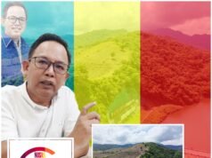 Legislator NTB Apresiasi Ketegasan Bupati Jarot Selamatkan Hutan Sumbawa: Bukit Gundul Beringin Sila Jadi Alarm Serius