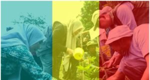 Wagub NTB Serukan Gerakan Bersama Pulihkan Hutan Lombok dan Sumbawa