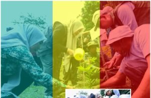 Wagub NTB Serukan Gerakan Bersama Pulihkan Hutan Lombok dan Sumbawa
