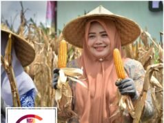 Wagub NTB Tekankan Perlindungan Lahan Pertanian Produktif di Tengah Pesatnya Perluasan Permukiman Lombok Barat