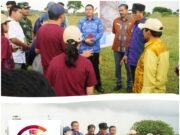 Sumbawa Siap Total Jadi Lokasi SMA Unggul Garuda, Wamendikti Saintek Tinjau Langsung Calon Kawasan