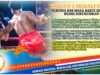 Resmi Dikukuhkan, Pertina KSB Bidik 5 Emas, Inilah Skuad “The Fighters” Pariri Lema Bariri