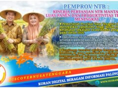 Produksi Padi NTB Melonjak 16,85 Persen, Optimisme Swasembada Pangan 2026 Kian Menguat