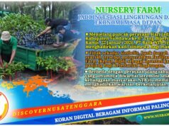 Kado Hijau Bank NTB Syariah untuk Milad ke-67 Sumbawa