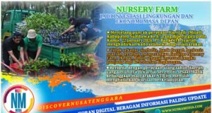 Kado Hijau Bank NTB Syariah untuk Milad ke-67 Sumbawa