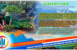 Kado Hijau Bank NTB Syariah untuk Milad ke-67 Sumbawa