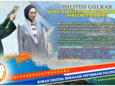 Sari Yuliati Kini Wakil Ketua DPR RI