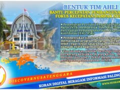 Pemprov NTB Bentuk TAG-P3K