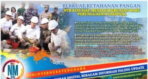 Tak Lagi Bergantung pada Jawa, NTB Bangun Industri Ayam Terintegrasi dari Hulu hingga Hilir