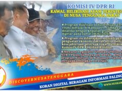 Hilirisasi Ayam Terintegrasi Dimulai di Sumbawa, Johan Dorong Dampak Nyata bagi Peternak NTB