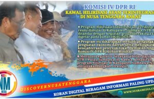 Hilirisasi Ayam Terintegrasi Dimulai di Sumbawa, Johan Dorong Dampak Nyata bagi Peternak NTB