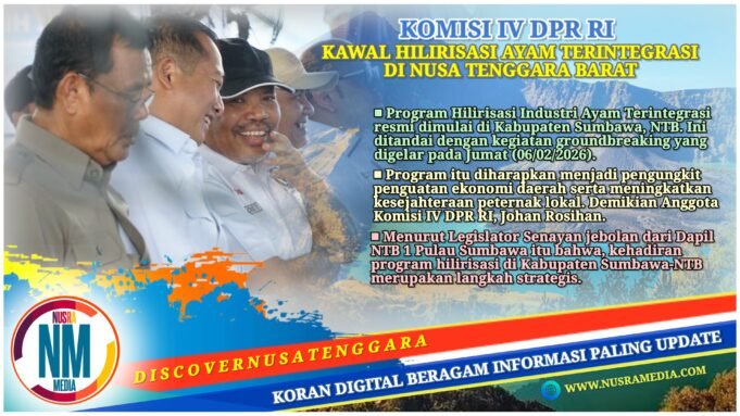 Hilirisasi Ayam Terintegrasi Dimulai di Sumbawa, Johan Dorong Dampak Nyata bagi Peternak NTB