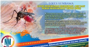 Kasus DBD di Sumbawa Turun Drastis : Januari 2026 Hanya 43 Kasus