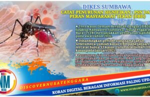 Kasus DBD di Sumbawa Turun Drastis : Januari 2026 Hanya 43 Kasus