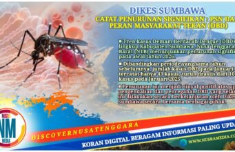 Kasus DBD di Sumbawa Turun Drastis : Januari 2026 Hanya 43 Kasus