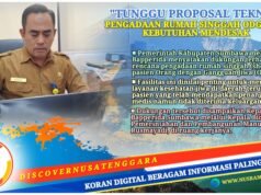 Kasus Kejiwaan Meningkat, Bapperida Sumbawa Siap Dukung Rumah Singgah ODGJ