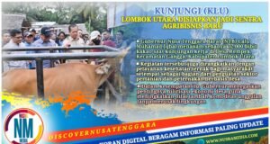 Gubernur NTB : Hilirisasi Komoditas Jadi Kunci Kesejahteraan Desa