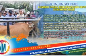 Gubernur NTB : Hilirisasi Komoditas Jadi Kunci Kesejahteraan Desa