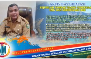 Enam Tambak Udang PMA di Sumbawa Ditutup Sementara