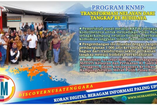 Pulau Bungin Disiapkan Jadi Sentra Lobster dan Mutiara, Target 1.000 Keramba