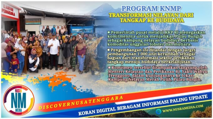 Pulau Bungin Disiapkan Jadi Sentra Lobster dan Mutiara, Target 1.000 Keramba