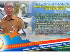 Dinkes Sumbawa Imbau Warga Gencarkan PSN dan 3M Plus